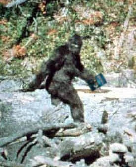 bigfoot evidence creature