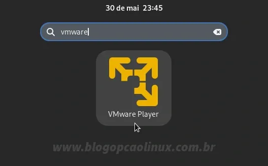 Pesquisando pelo VMware Workstation no desktop GNOME Shell