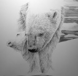 polar bear drawing in progress