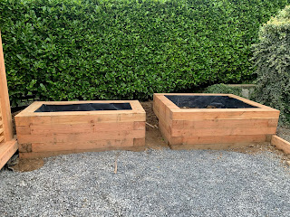 Larch raised planters