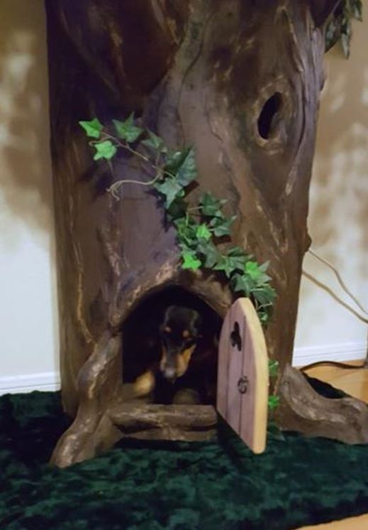  Dog Tree House