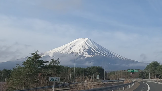 保護犬 ボーダーコリー トーマ