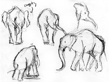 Elephants-02