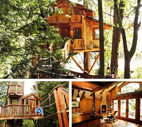 Journey of the Featherless Real life treehouses 