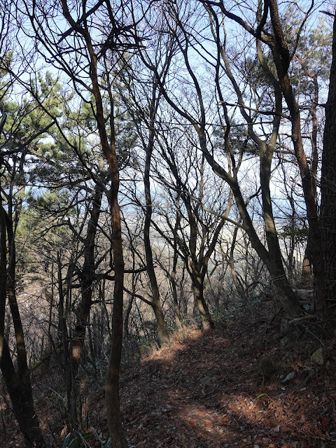 孝霊山　中腹の急な坂道