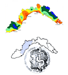 ORDINE DEI MEDICI CHIRURGI E DEGLI ODONTOIATRI DELLA PROVINCIA DI SAVONA.