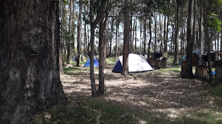 Camping Punta Ballena, no Uruguai