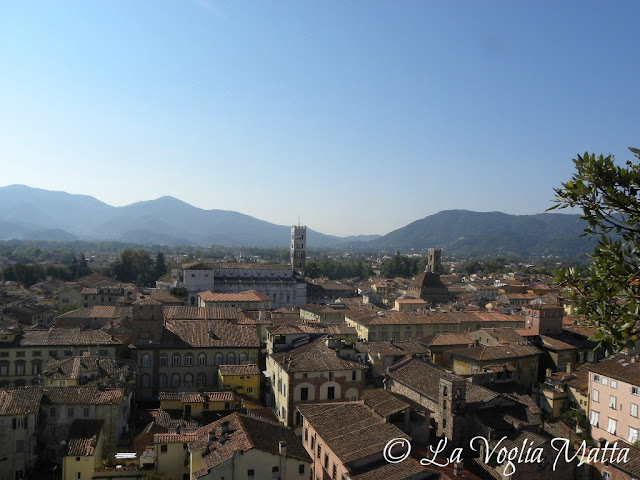 Lucca