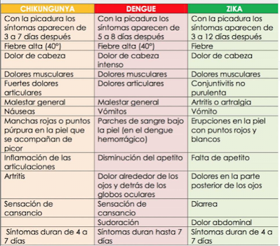 Sintomas Zika - Dengue - Chikungunya