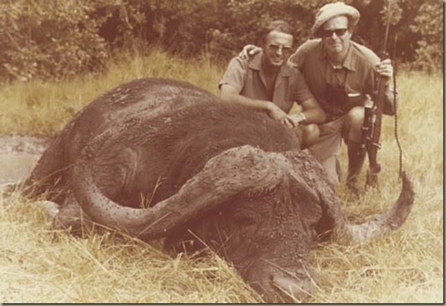 capebuffalo10