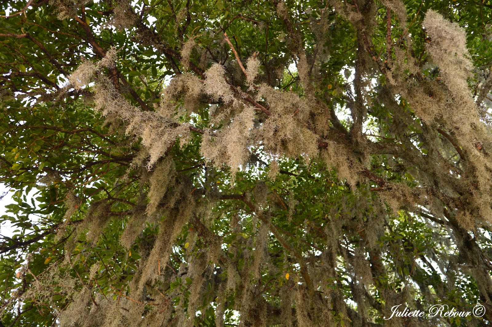 Andahuaylillas au Pérou