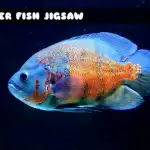 8B Tiger Fish Jigsaw