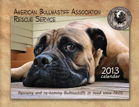2013 American Bullmastiff Association Rescue Service calendar