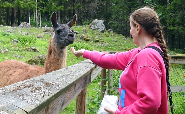 tangen dyrepark