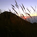 Climbing Mount Merbabu (Indonesia)