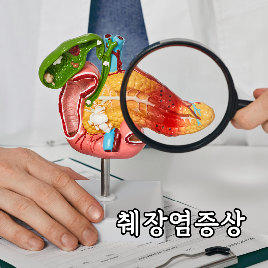 췌장염증상과, 원인 및 치료법(급성과 만성췌장염의 차이점)