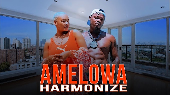 Harmonize - Amelowa | Video _ djmbu.com