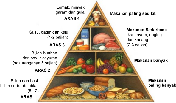 Keperluan Manusia: Piramid Makanan