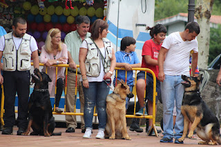 Los perros de la asociación GT Wurssy causan admiración en las fiestas de El Regato