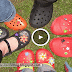Are You Wearing Cancer-Causing Sandals It’s About Time To Throw Away Those Crocks-Like Shoes 