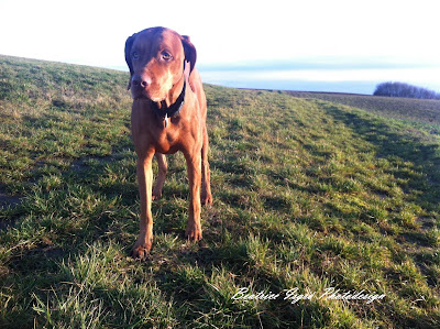 Amelie in der Wintersonne