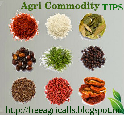 Agri Commodity Tips , free agri tips ,  Agri commodity calls , MCX Tips Services , Free  Commodity Tips
