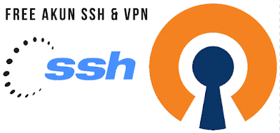 10 Situs Web Penyedia Config OpenVPN dan SSH Gratis