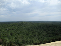 dune du pilat fai da te