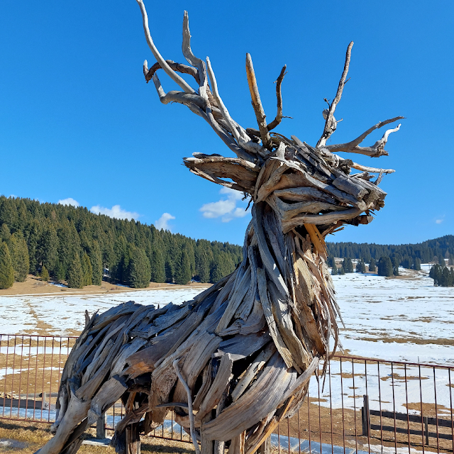 millegrobbe sentieri inverno ciaspole escursioni