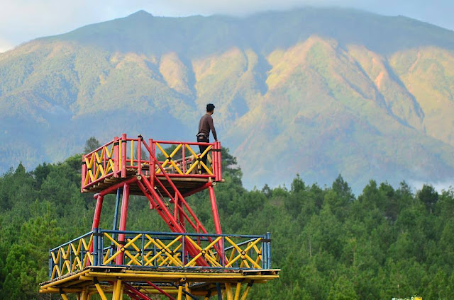 Top Selfie Hutan Pinus Kragilan