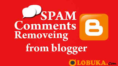 Klasifikasi Spam Pada Akun / Blog  dan Konsekuensi 