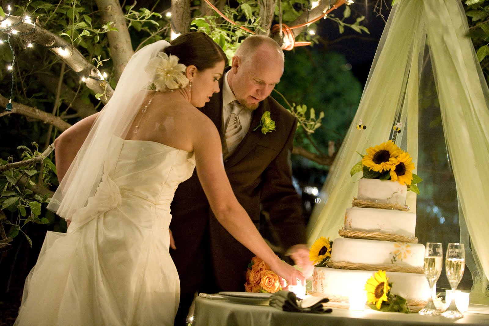 Romantic Wedding Cake Cutting