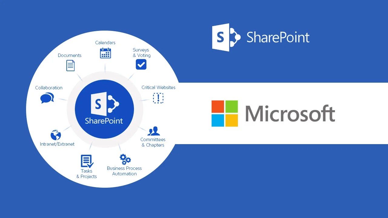 شروحات سريعة: ما هي خدمة Microsoft Sharepoint