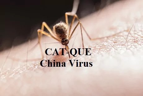 Is India ready for the Cat-Que china virus outbreak?