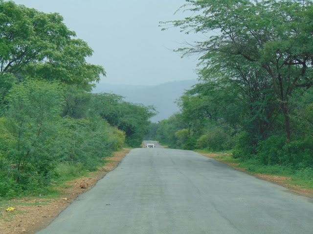 sariska alwar road