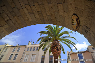 La palma insieme al coccodrillo sono i simboli di Nimes,presenti su una moneta romana