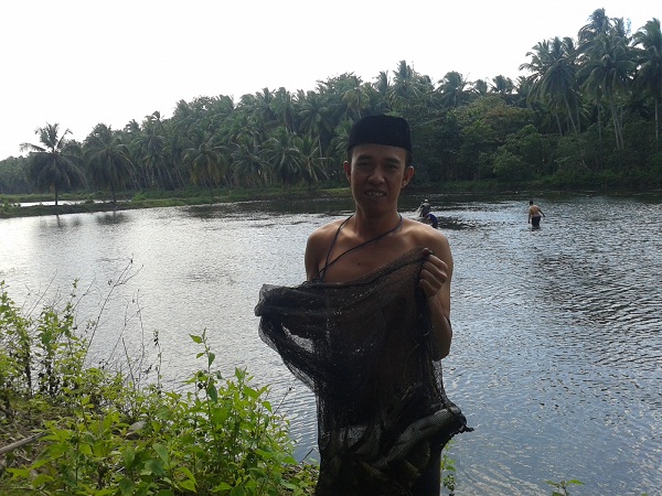 Memanen Ikan Bandeng di Empang