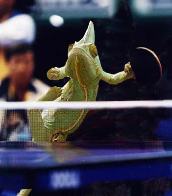 keke.. here#39;s some crazy funny crazy funny pictures. keke.. here#39;s some crazy funny