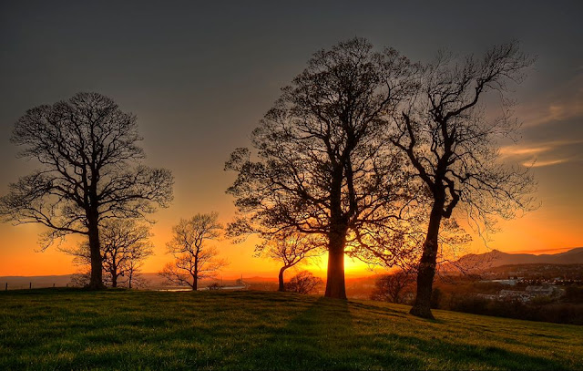 Ray Wilson and Jaclyn - a father and daughter and their big passion for photography.