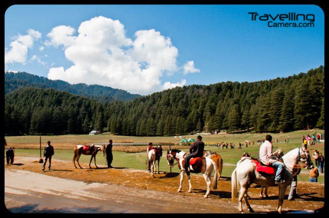 Mini Switzerland of Hidustan : Khajjiar in Himachal Pradesh state of INDIA: Posted by VJ SHARMA at www.travellingcamera.com : I have been to Khajjiar many times but the very first trip to this place was very exciting. We spent 5 days in Dalhousie and had trekking experience of various places around Dalhousie like Kala-Top, Dainkund, Khajjiar-to-Dalhousie... We went to Khajjiar by Bus and came back through various treks on the way... Here are few photographs of Khajjiar which is also known as Mini Switzerland of India...A government building on one side of Khajjiar Lake...We can early in the morning by first bus from Dalhousie to Chamba via Khajjiar... It was calm in the morning and after few hours it was so much crowded that 20% of this huge lake was covered with tourists and children...Vew of same building from other side of Khajjiar Lake @ Chamba Distrct of HimachalPradesh, INDIAWe enjoyed some chit-chat inside the lake and after some time few of us were not very excited about the idea of spending more time at Khajjiar... An Idea came in for going back to Dalhousie on feet... Some of us were not confortable with the idea but finally all of enjoyed various treks on the way back to Dalhousie...Horses standing on one side of Khajjiar Lake.... waiting for tourists who want to have a ride around this lake... Chatk is very famous and tallest horse here... Pure White... We also had a ride and in the end I was able to control that horse :-) ... I mean I got to know how to stop, give directions, move fast etc...Partial view of Khajjiar Lake from outer path of the lake where horses move to complete the circular round around this lake...We had early lunch at Khajjiar and started back journey with some snacks & dricks in our backpacks...A Narrwo view to some resturants on one end of Khajjiar Lake...Hiding behind huge Deodars around Khajjiar Lake... From this place we started our trekking back to Dalhousie... Till Dalhousie, we needed to climb -lot many hills and few road-walks where climbing was not possible....