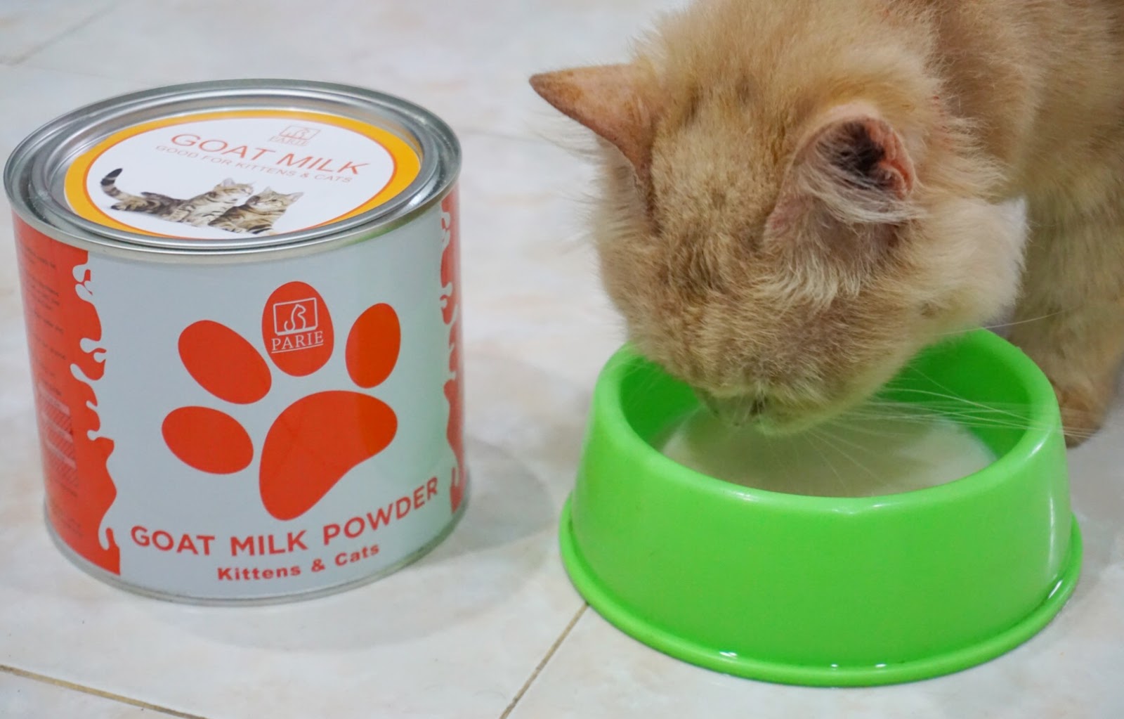 Kebaikan Susu Kambing Untuk Kucing Anda