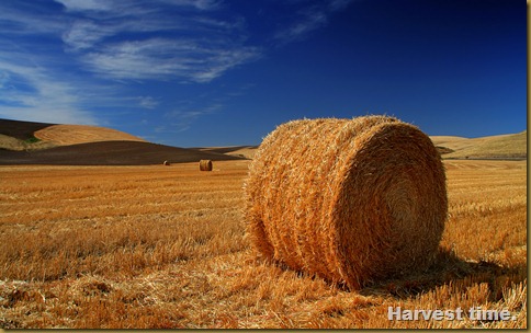 The Palouse, Washington State, USA