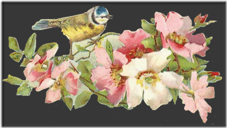 imagenes vicotrianas de pajaro scrapbox (2)