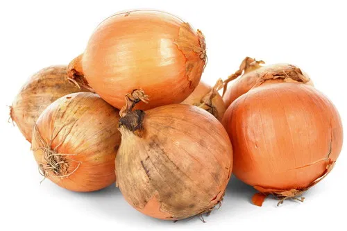 Onion