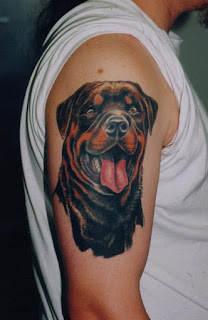 Rottweiler Shoulder Tattoo