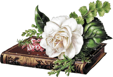 LIBRO VISITAS