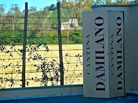 Cantina Damilano