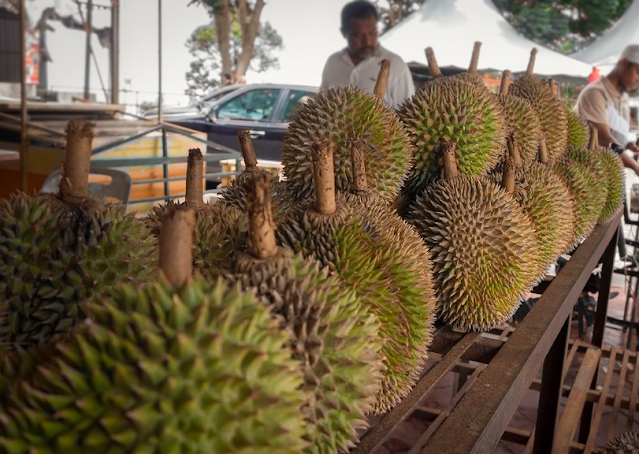 Musim Durian Pulau Pinang 2022 Makin Meriah