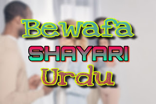 Bewafa Shayari Urdu | ShayariDiaryUrdu