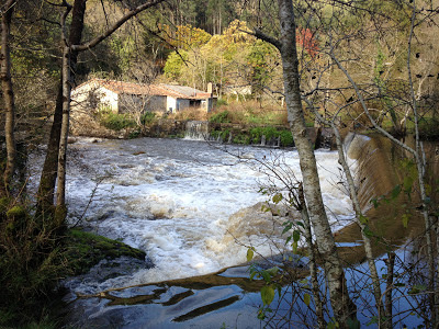 By E.V.Pita / River Anllóns to Ponteceso, Galicia, Spain, Fall 2012